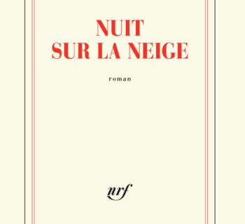 Nuit sur la neige