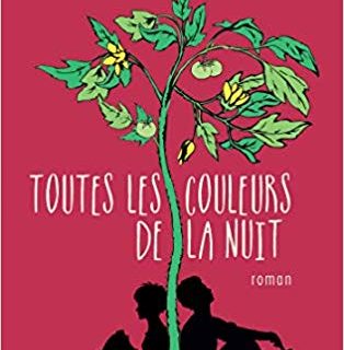 Toutes les couleurs de la nuit