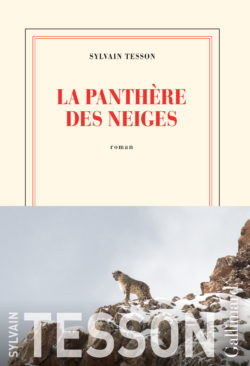 La panthère des neiges