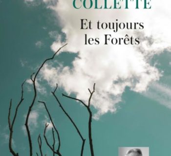 Et toujours les  Forêts