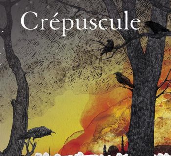 Ecrivain sans public