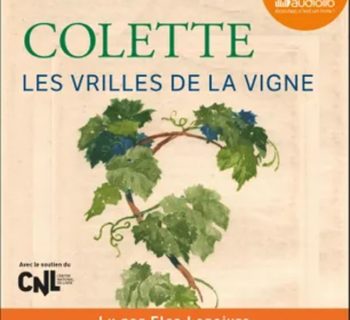 Les vrilles de la vigne