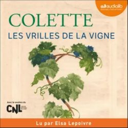 Les vrilles de la vigne