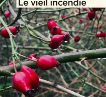 Le vieil incendie