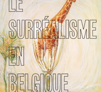 Histoire de ne pas rire. Le surréalisme en Belgique