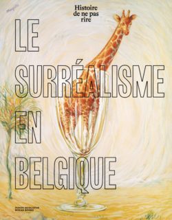 Histoire de ne pas rire. Le surréalisme en Belgique