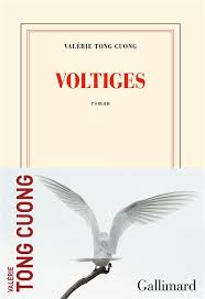 Voltiges